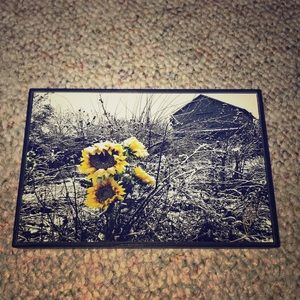 Sunflower picture in frame